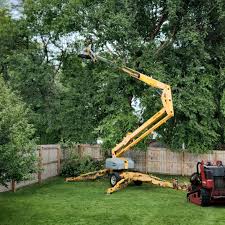 Reliable Wathena, KS Tree Removal and Landscaping Services Solutions